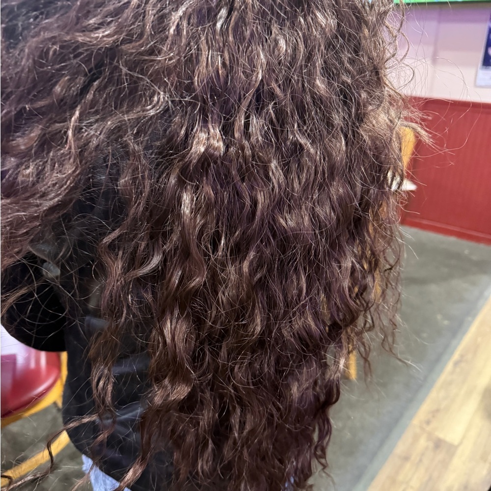24” Elegant Deep Brown with highlights Curly Clip On Hair Extensions